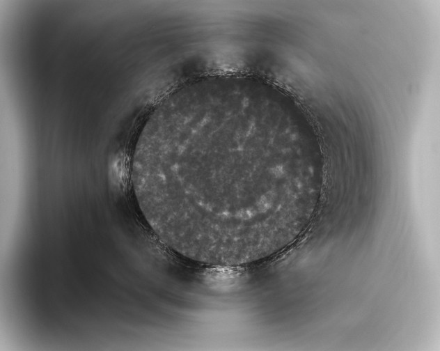 X0000093400672200710260918