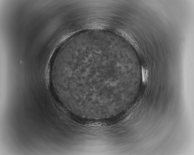 X0000093400675200710260918