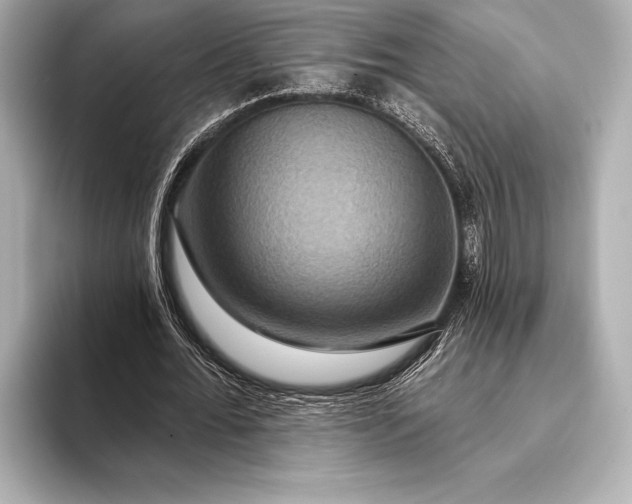 X0000093400676200710260918