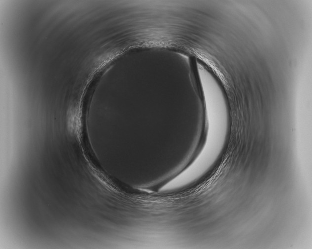 X0000093400677200710260918