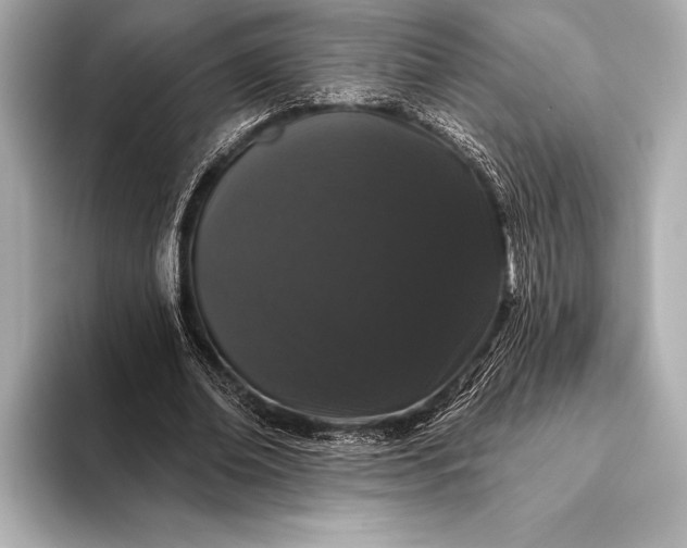 X0000093400678200710260918