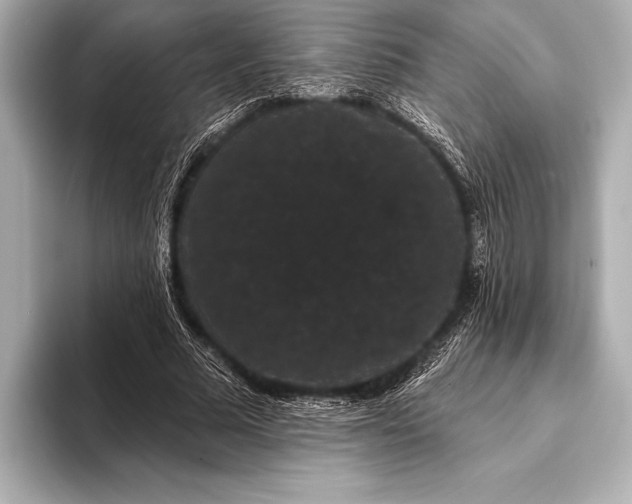 X0000093400681200710260918