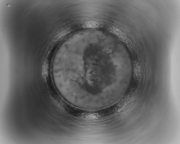 X0000093400683200710260918