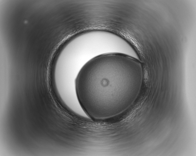 X0000093400684200710260918