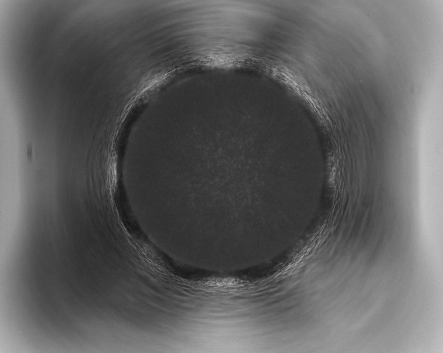 X0000093400685200710260918