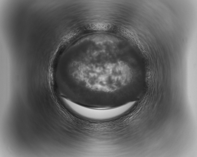 X0000093400688200710260918