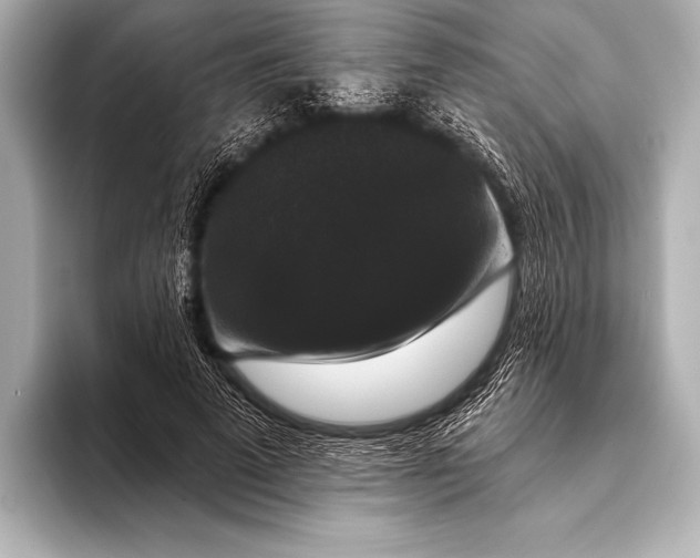 X0000093400689200710260918