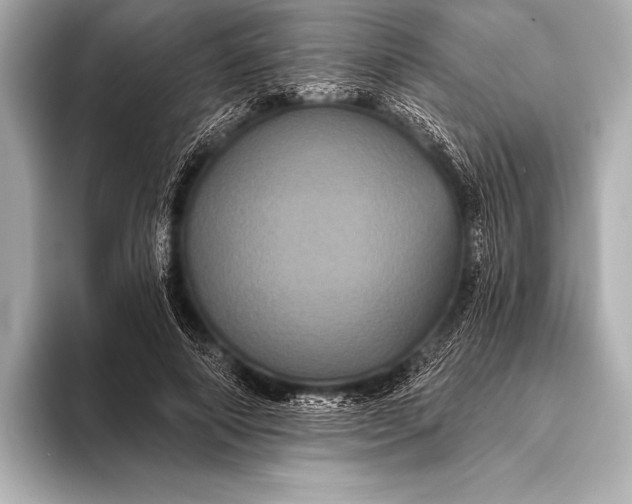 X0000093400690200710260917