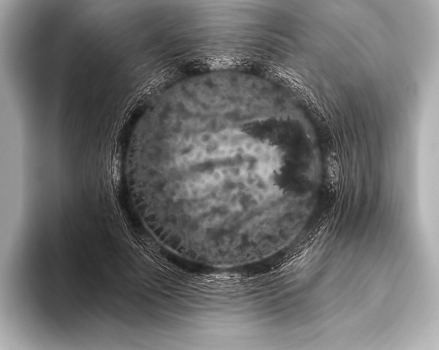 X0000093400691200710260917