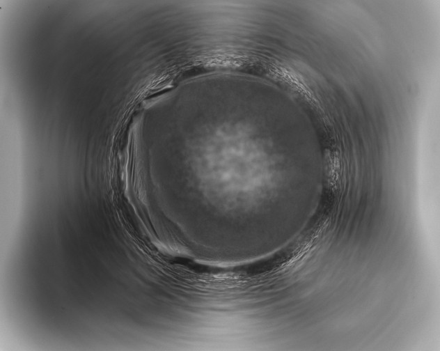 X0000093400692200710260917