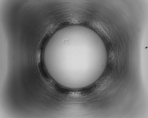 X0000093400694200710260917