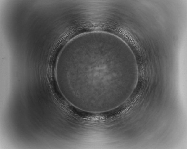 X0000093400696200710260917