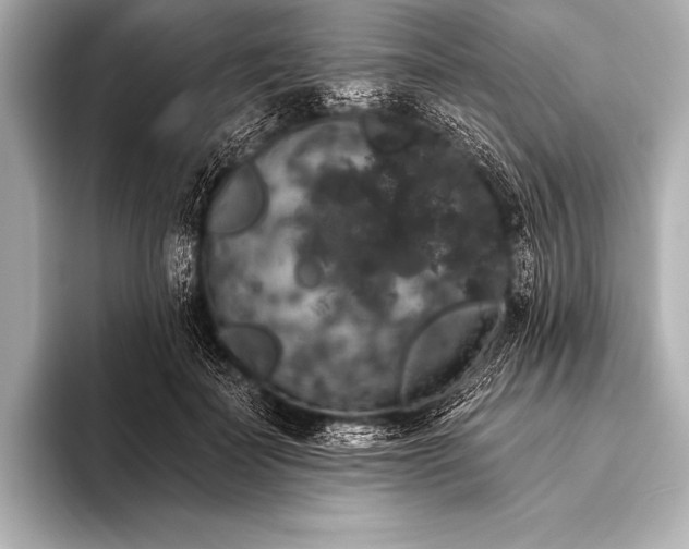 X0000093400699200710260917