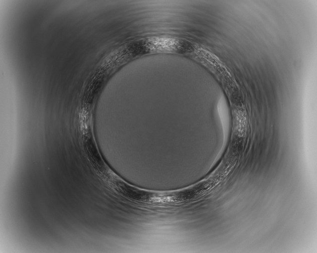 X0000093400701200710260917