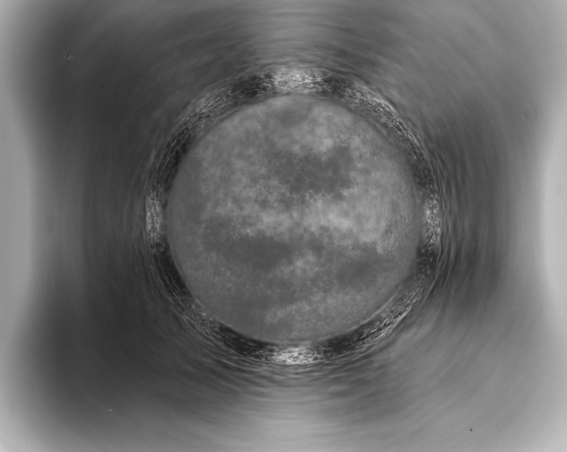 X0000093400705200710260917