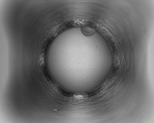 X0000093400706200710260917