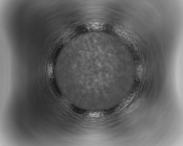 X0000093400709200710260917