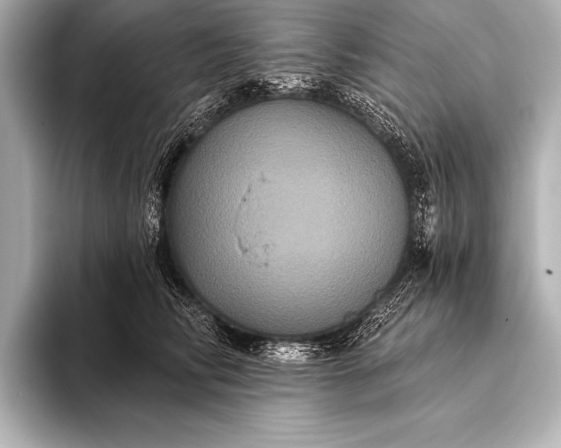 X0000093400710200710260917