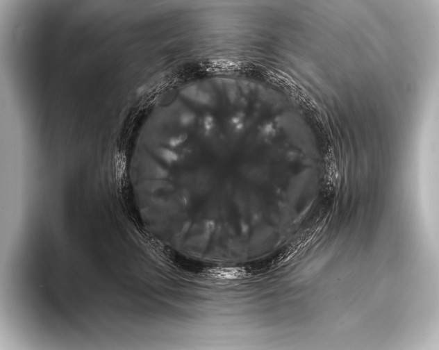 X0000093400711200710260917