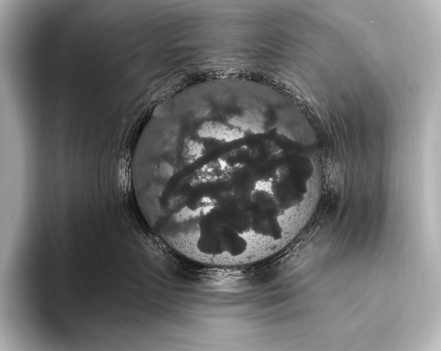 X0000093400719200710260917