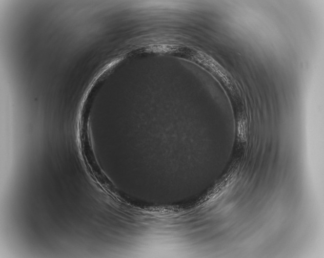 X0000093400724200710260917