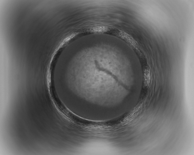 X0000093400726200710260917