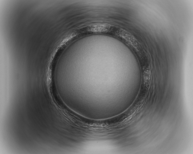 X0000093400727200710260917