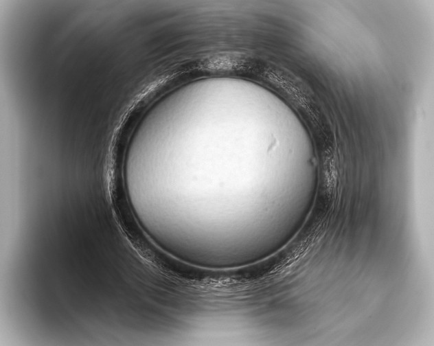 X0000093400728200710260917