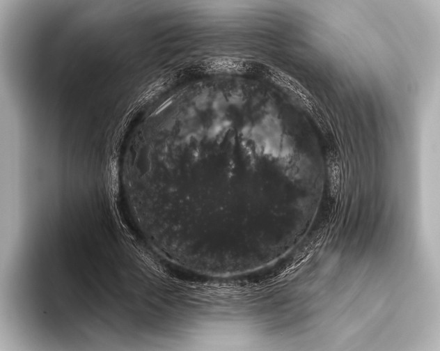 X0000093400729200710260917