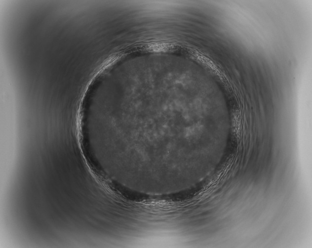 X0000093400730200710260917