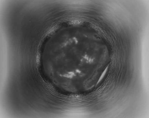 X0000093400735200710260917