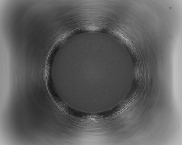 X0000093400736200710260917