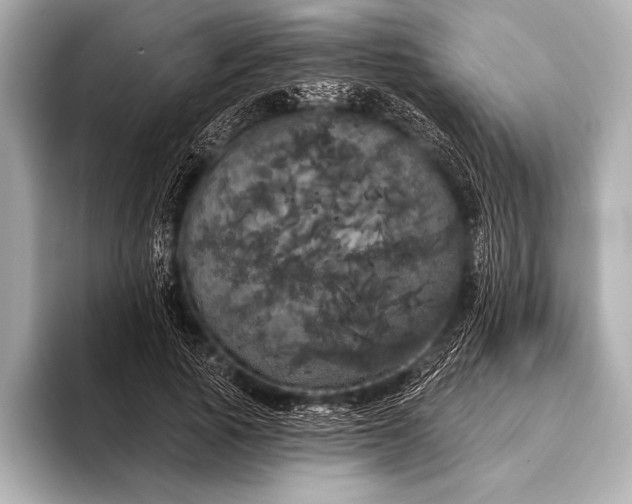 X0000093400737200710260917