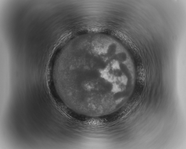 X0000093400738200710260917