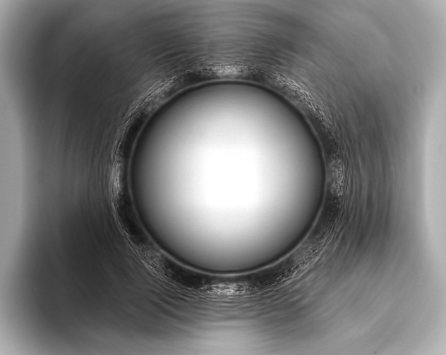 X0000093400740200710260917