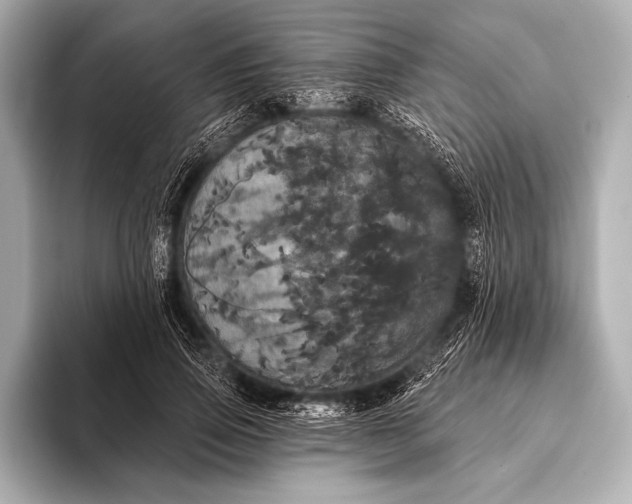 X0000093400741200710260917