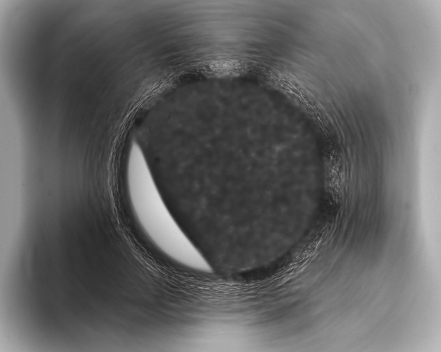 X0000093400742200710260917