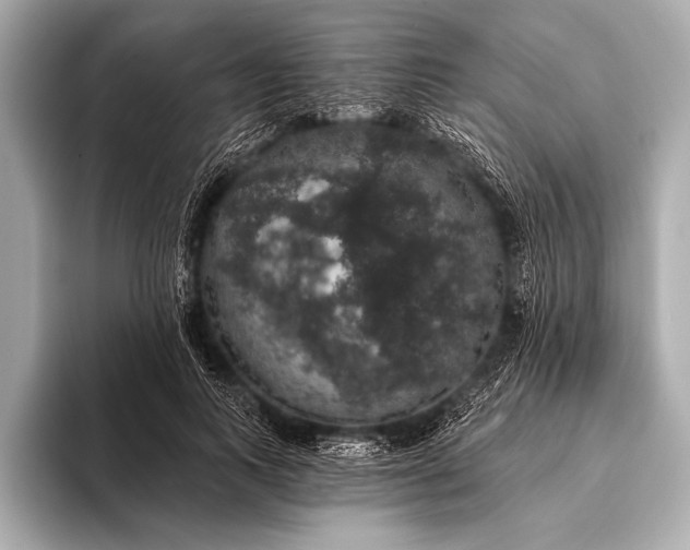 X0000093400743200710260917