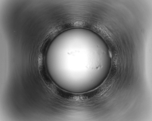 X0000093400744200710260917