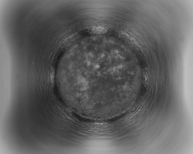 X0000093400745200710260917