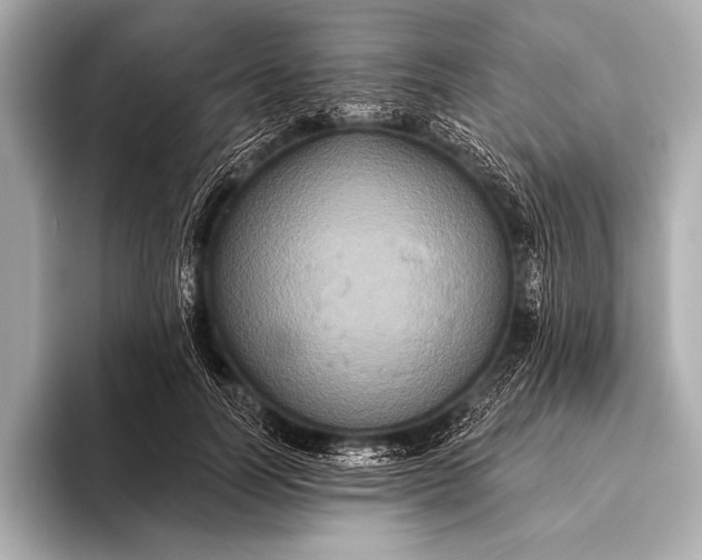 X0000093400746200710260917