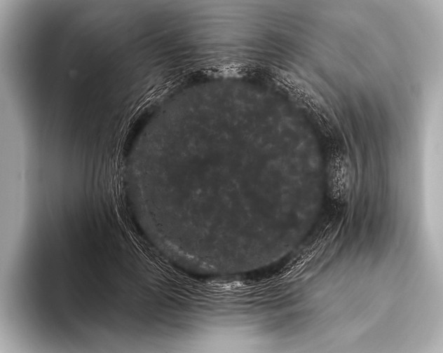 X0000093400747200710260917