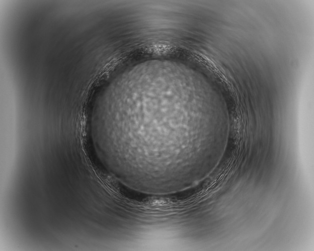 X0000093400750200710260917