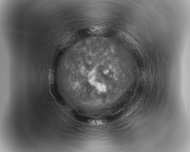 X0000093400751200710260917