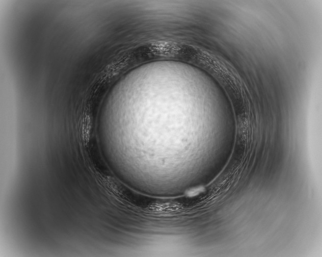 X0000093400752200710260917