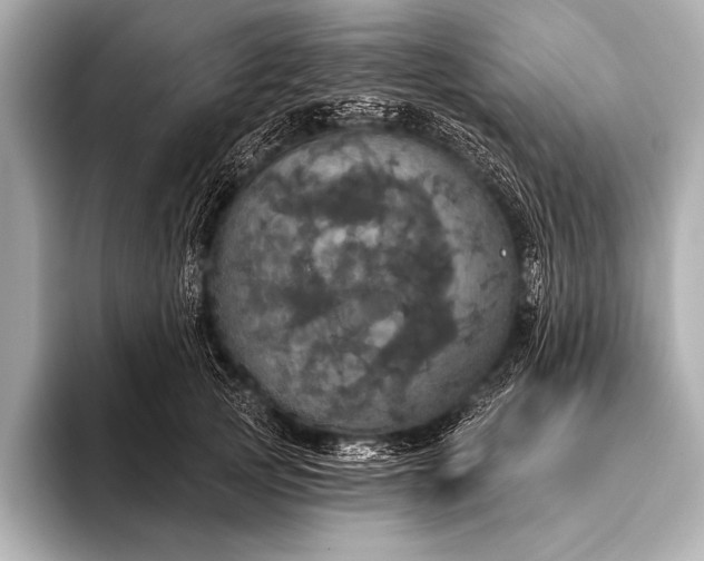 X0000093400753200710260917