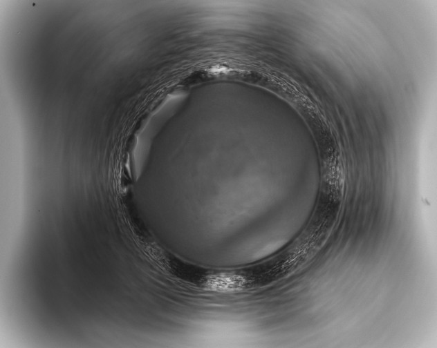 X0000093400754200710260917