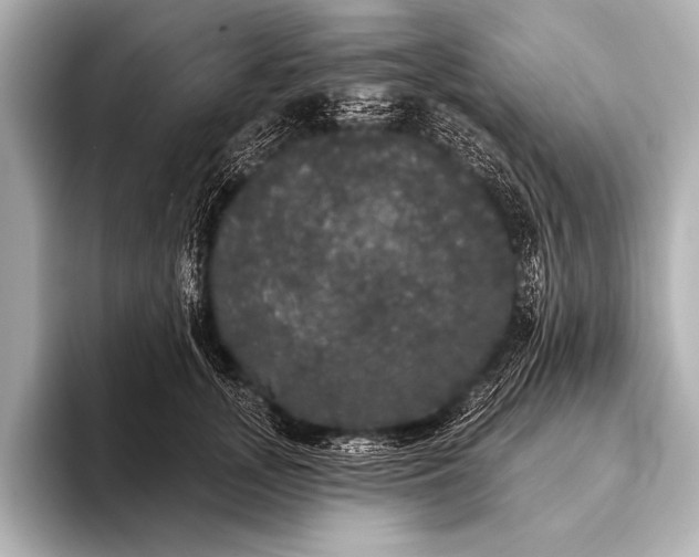 X0000093400755200710260917