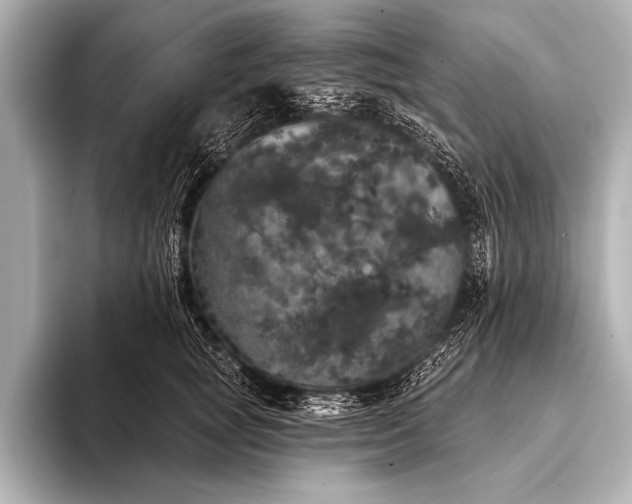 X0000093400757200710260917