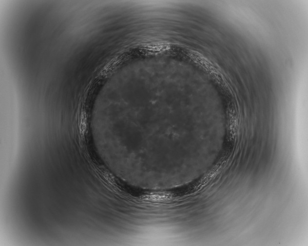 X0000093400758200710260917